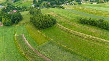 Aerial view on the countryside and the agricultural field