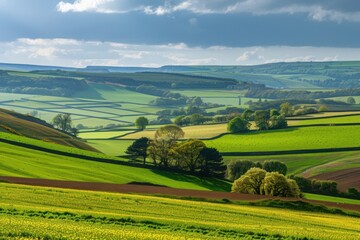 A peaceful meadow landscape