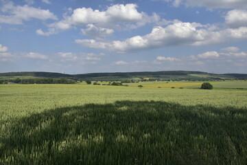 Fototapeta premium Landschaft zwischen Gronau und Alfeld