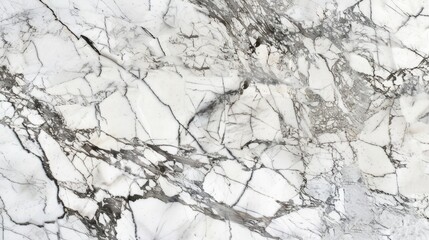 Obraz premium White marble surface with intricate gray veins, polished and smooth