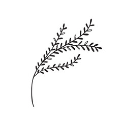 Flower and greenery frame and border