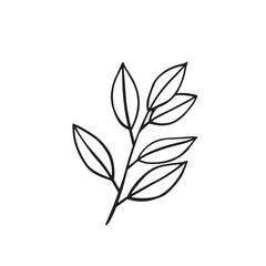 Flower and greenery frame and border