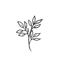 Flower and greenery frame and border