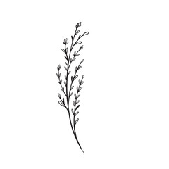 Flower and greenery frame and border