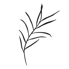 Obraz premium Flower and greenery frame and border