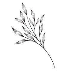 Flower and greenery frame and border