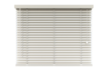 White Window Blinds