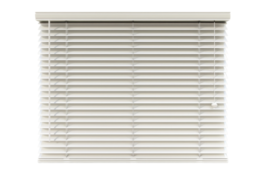 White Window Blinds