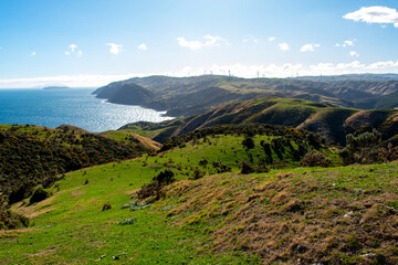 Pastures in Wellington Region - New Zealand © Adwo