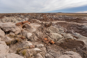Petrified Forest National Park 