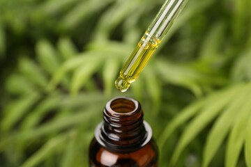 Dripping essential oil from pipette into bottle outdoors, closeup