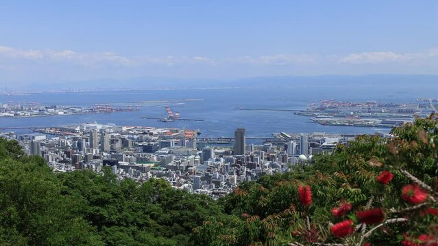 赤い花をつけたマキバブラシノキ越しで見る神戸の景色（布引ハーブ園）