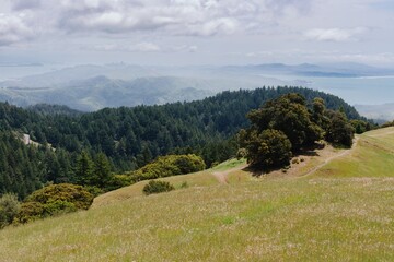 View of the Bay Area from the ridge of Mt Tamalpais, San Francisco, California, USA.