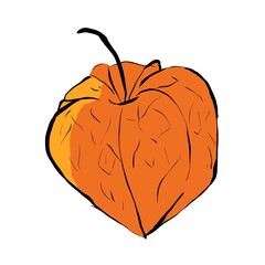 Orange physalis pop art illustration, simple digital style