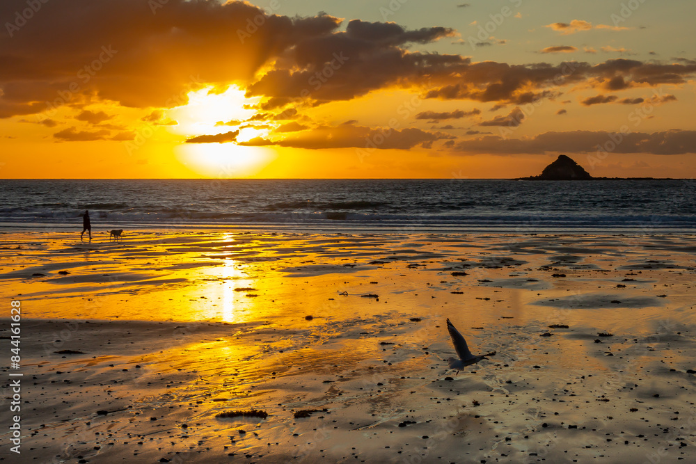 Poster Golden sunrise on the beach