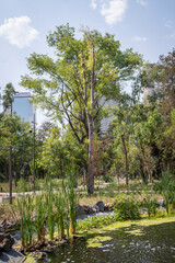 garden and stage pavilion in chapultepec 