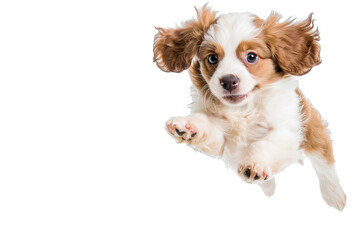 A playful puppy with floppy ears, jumping in the air, isolated on white background, representing boundless energy and adorable antics