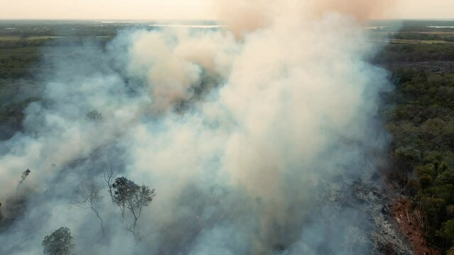 Humo sobre bosque causado por incendio forestal sobre campos y bosques en el Distrito de Corozal Belice descuido contaminacion ambiental y cambio climatico desastre de la naturaleza