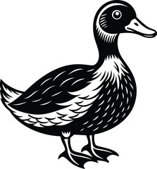 duck isolated on white background