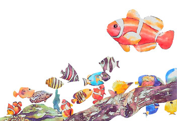 水彩画の熱帯魚