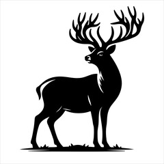 Silhouette of deer - vector illustration. Graphic black silhouettes of wild deers – male, female, and roe deer