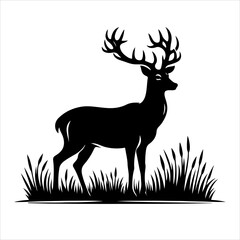 Silhouette of deer - vector illustration. Graphic black silhouettes of wild deers – male, female, and roe deer