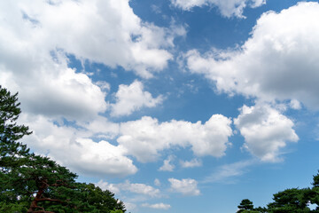 青空と白い雲