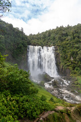 Naklejka premium Majestic Marakopa Waterfall in Lush Green Forest 