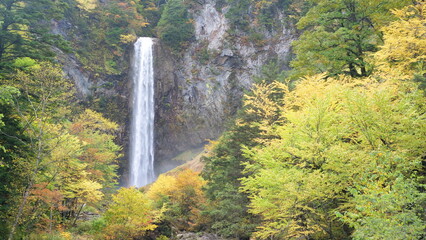 Hirayu Otaki,. Top 100 waterfalls in Japan. Autumn leaves and waterfall.