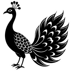     Beautiful silhouette peacock vector illustration.
