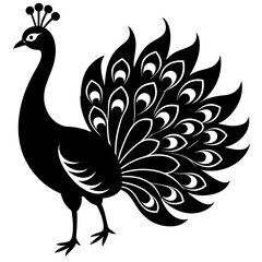     Beautiful silhouette peacock vector illustration.

