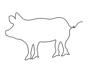 Continuous line drawing animal of a pig Isolated on transparent background. Draw design vector graphic illustration