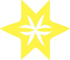 Ethnic Ornament Pattern Icon