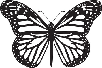 A Butterfly Vector Art Illustration