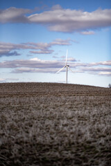 wind turbines in the field