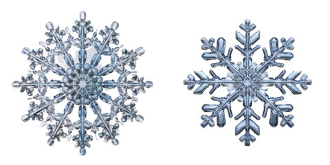 Delicate Snowflake Under Microscope Isolated on Transparent or White Background, PNG