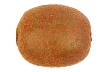 a whole fresh organic ripe kiwi isolated transparent