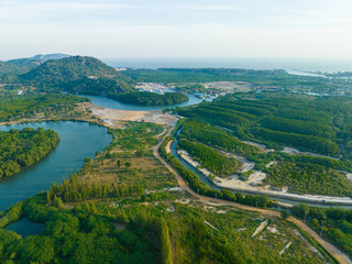 Aerial view tropical green tree mangrove forest river to sea bay