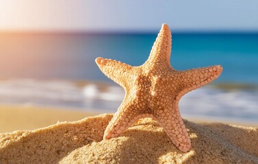sea star on a very bright beach, with a blurred background in a sunny day 
