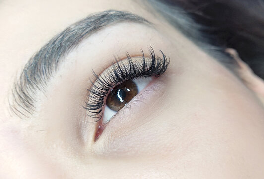 close up of eye with eyelash extensions ,beauty salon treatment , whispy lashes.