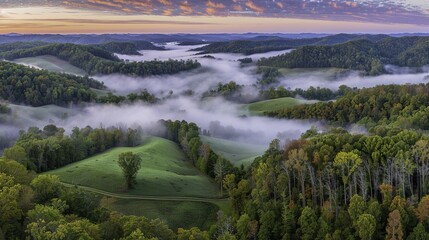 Sunrise drone capture over misty trees, pink and orange hues, rays of light piercing through clouds, serene nature landscape