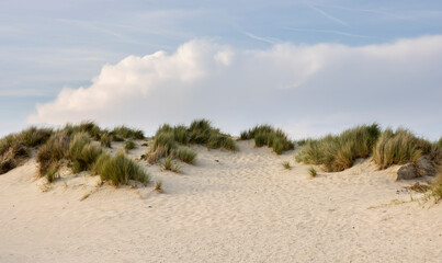 sand dunes with grass against a blue sky with clouds
