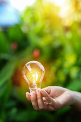 light bulbs green on background