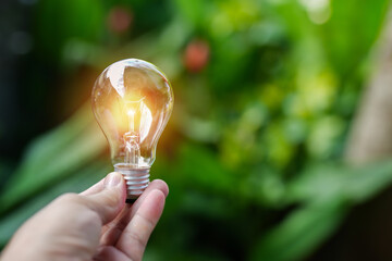 light bulbs green on background