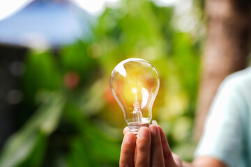 light bulbs green on background