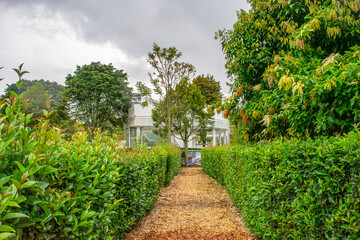Serene Pathway to Urban Greenhouse Oasis