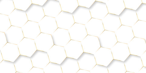 Abstract white hexagon minimal grid line creative. honeycomb light art hexagon polygonal pattern background vector. seamless bright white abstract mess cell web texture background.