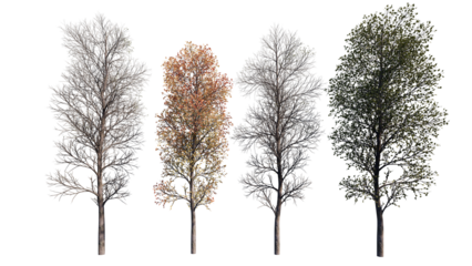 set of trees isolated on white