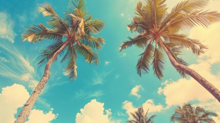 vintage tropical palm trees on blue sky background