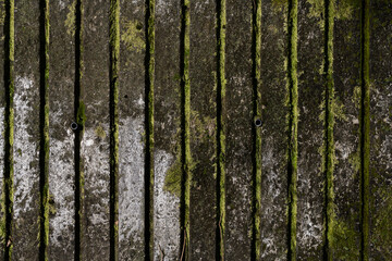 Obraz premium 이끼가 있는 배경